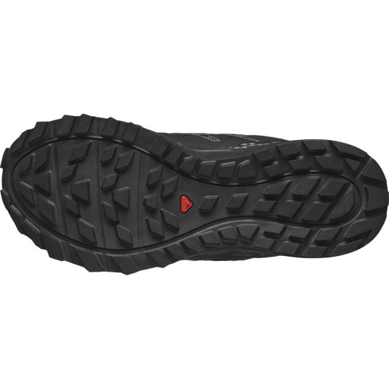 Salomon Wander GTX